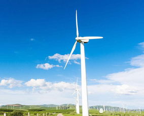 風力發電的環保悖論 清潔能源為何可能加劇全球變暖？